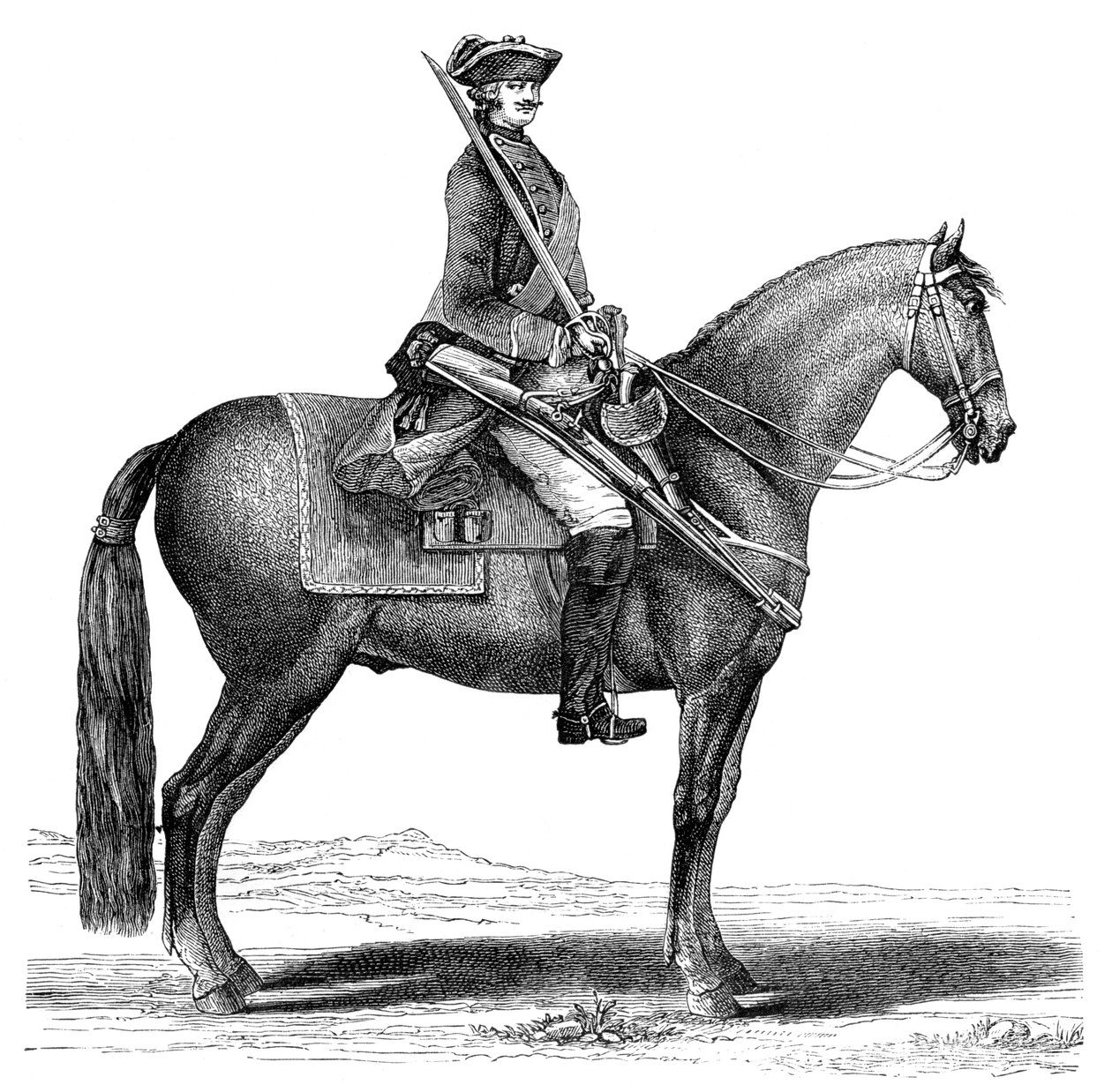 Kawaler, 1885 autorstwa Unbekannt