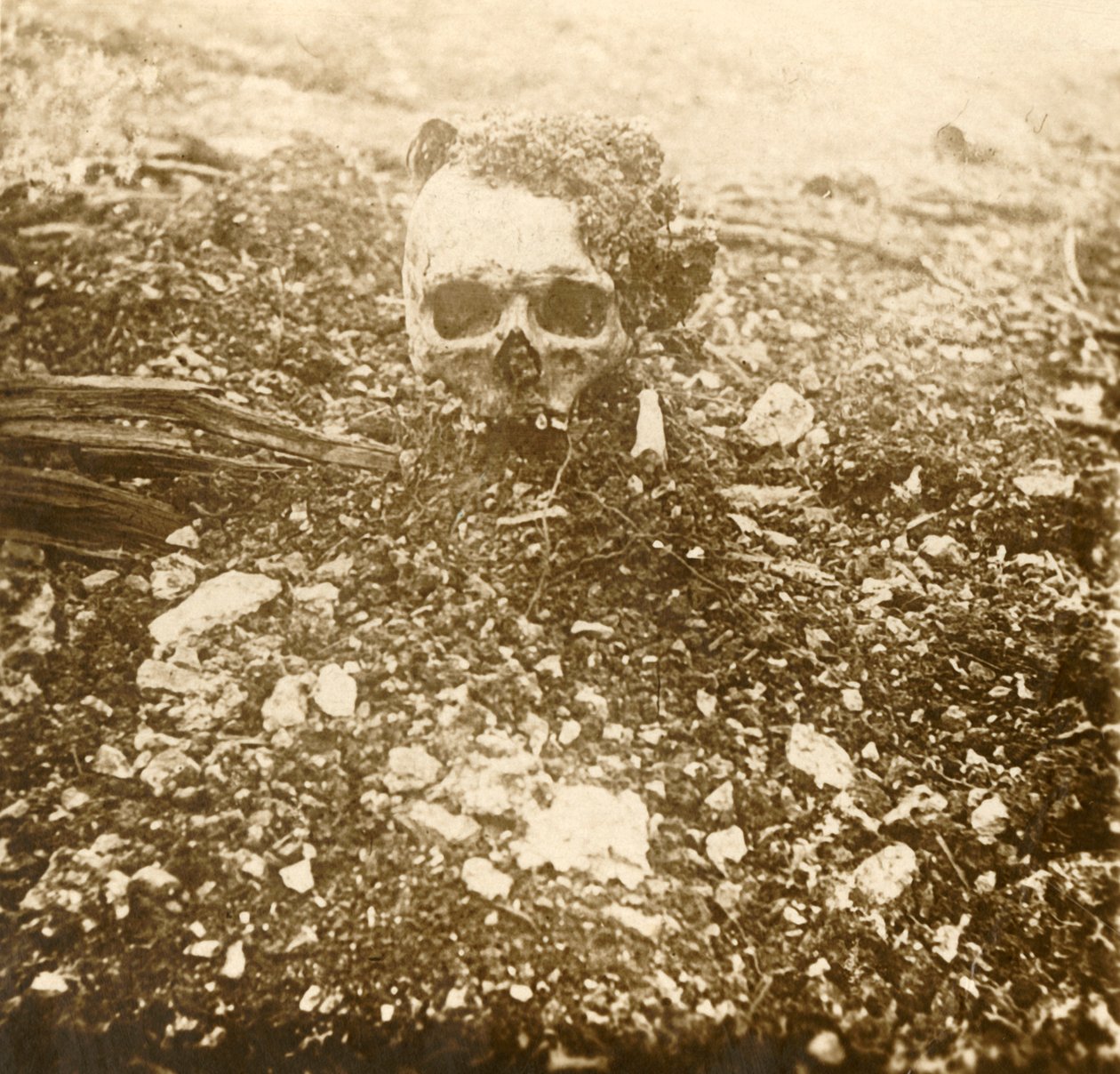 Książę koronny, Verdun, północna Francja, 1916 autorstwa Unbekannt