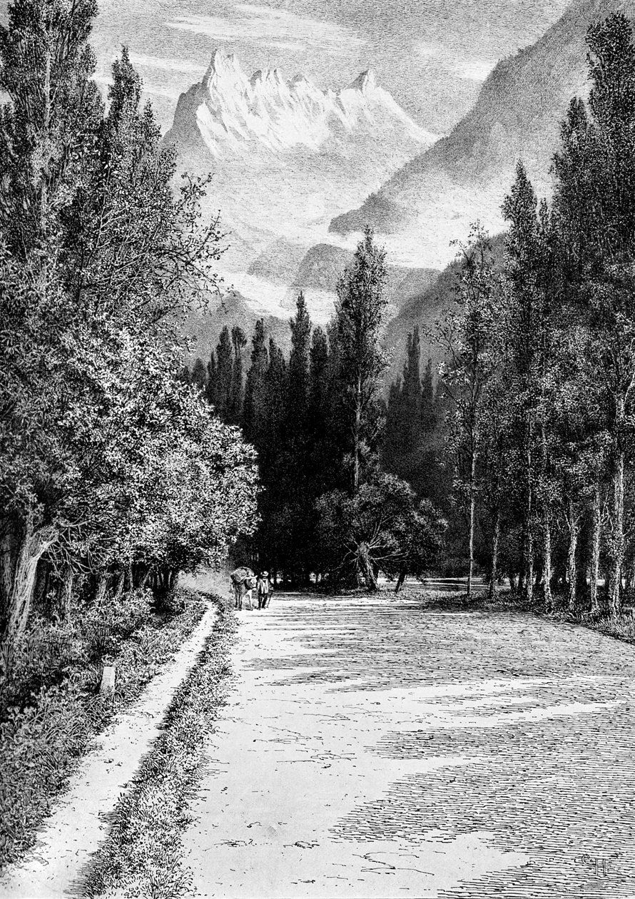 Dent du Midi z Doliny Rodanu, 1900 autorstwa Unbekannt