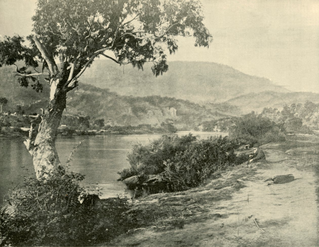 Derwent w New Norfolk, 1901. autorstwa Unbekannt