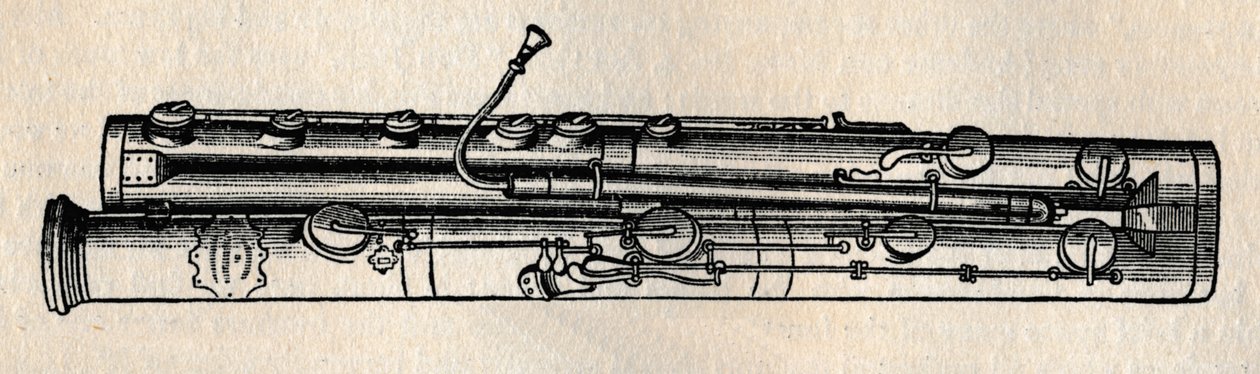 Fagot, 1895. autorstwa Unbekannt