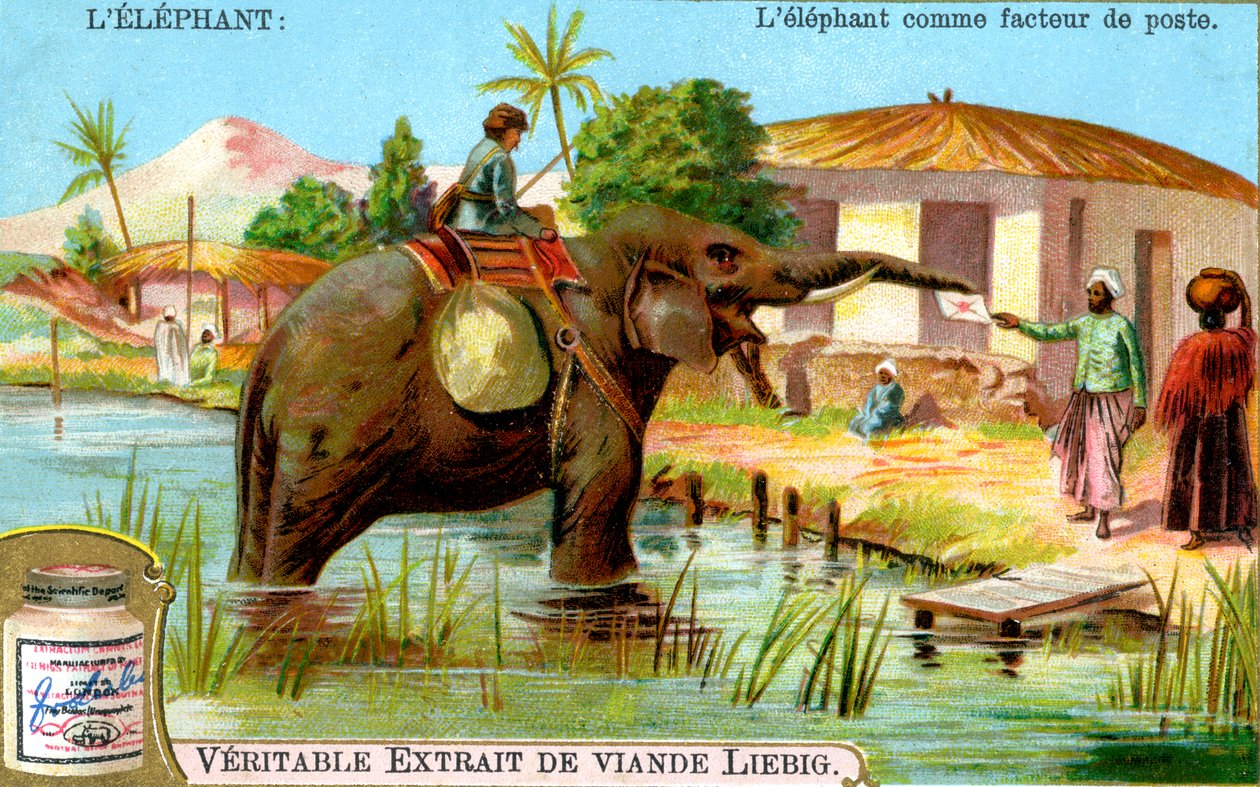 Słoń jako listonosz, ok. 1900 autorstwa Unbekannt