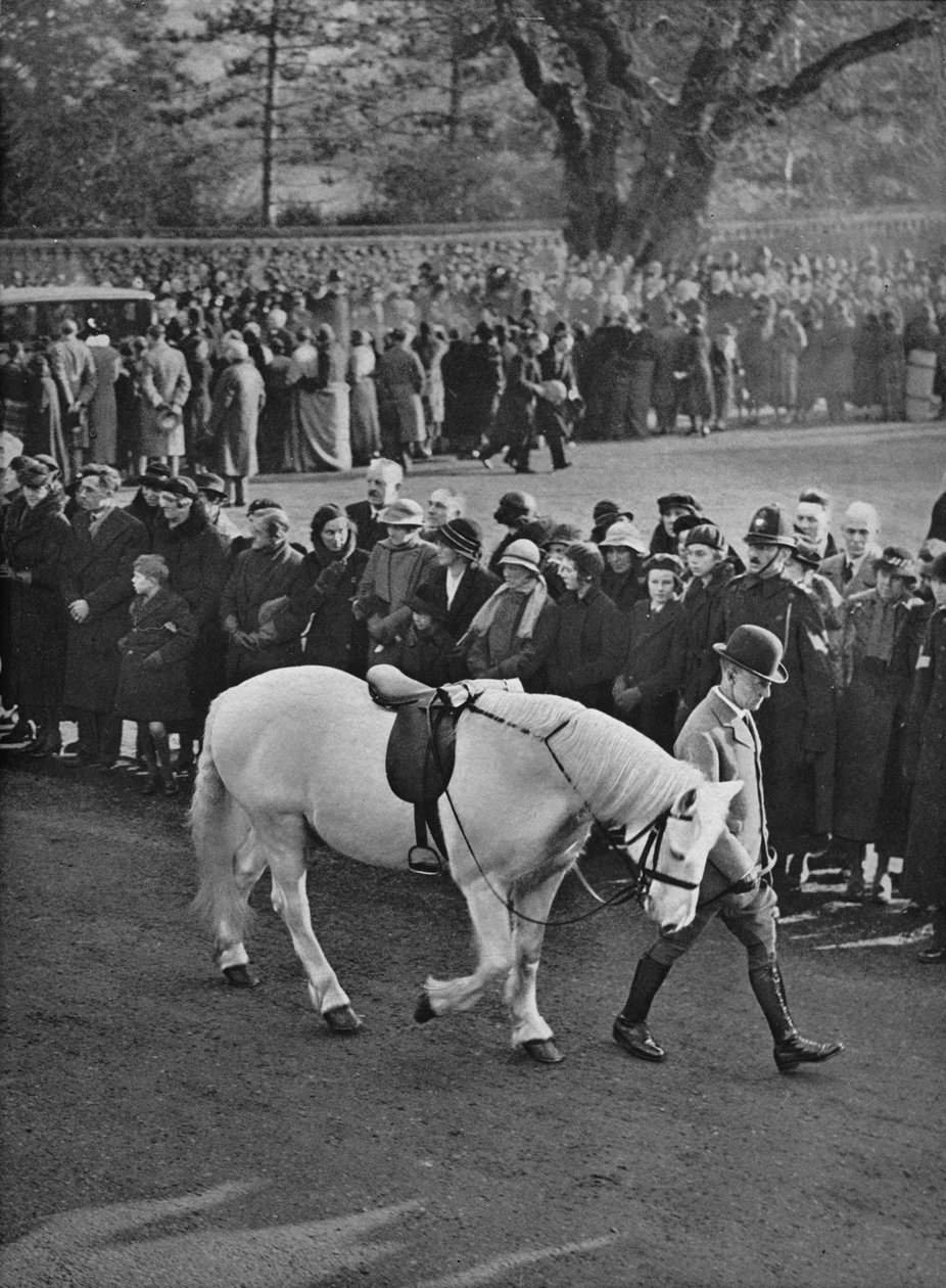 Puste siodło: biały kucyk King Georges, Jock, prowadzony w procesji, 1936 autorstwa Unbekannt