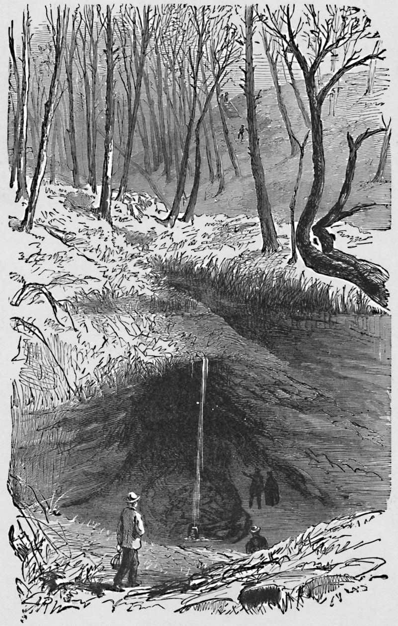Wejście, 1883 autorstwa Unbekannt