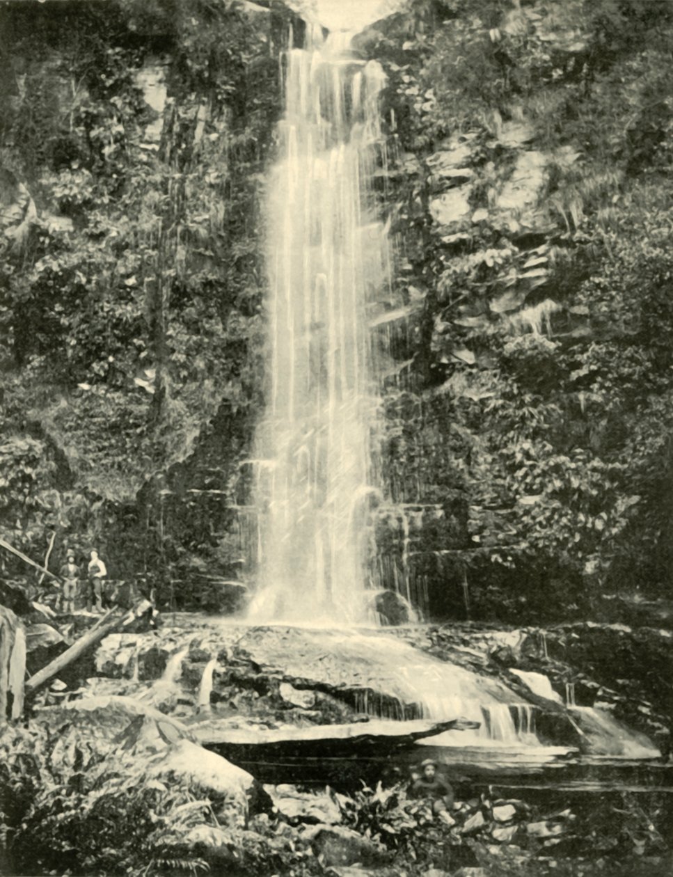 Wodospady Erskine, niedaleko Lorne, 1901. autorstwa Unbekannt