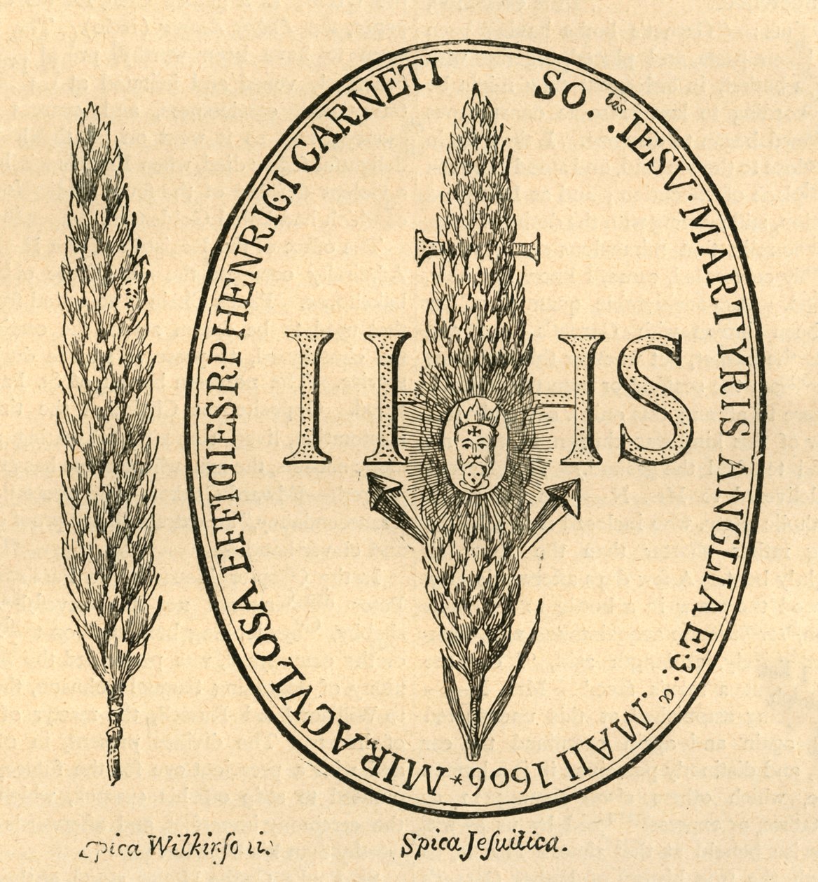 Twarz w słomie. - Z Opatów Anthologia, 1613, 1897. autorstwa Unbekannt