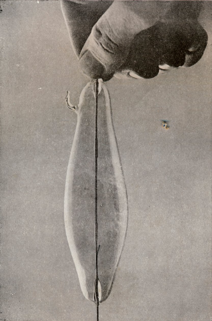 Pierwsza żarowa lampa elektryczna, c1916 autorstwa Unbekannt