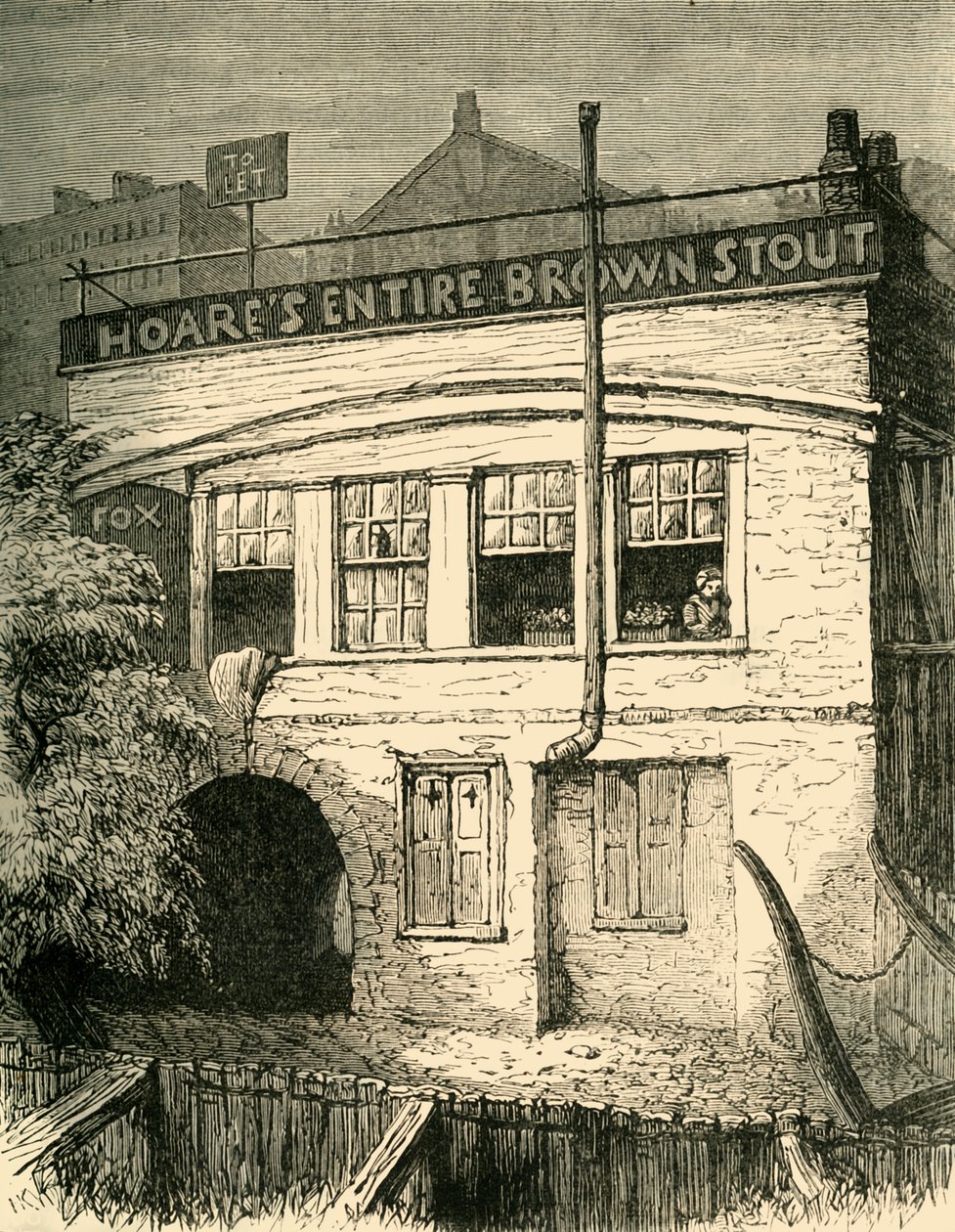 Lis pod wzgórzem, 1881. autorstwa Unbekannt