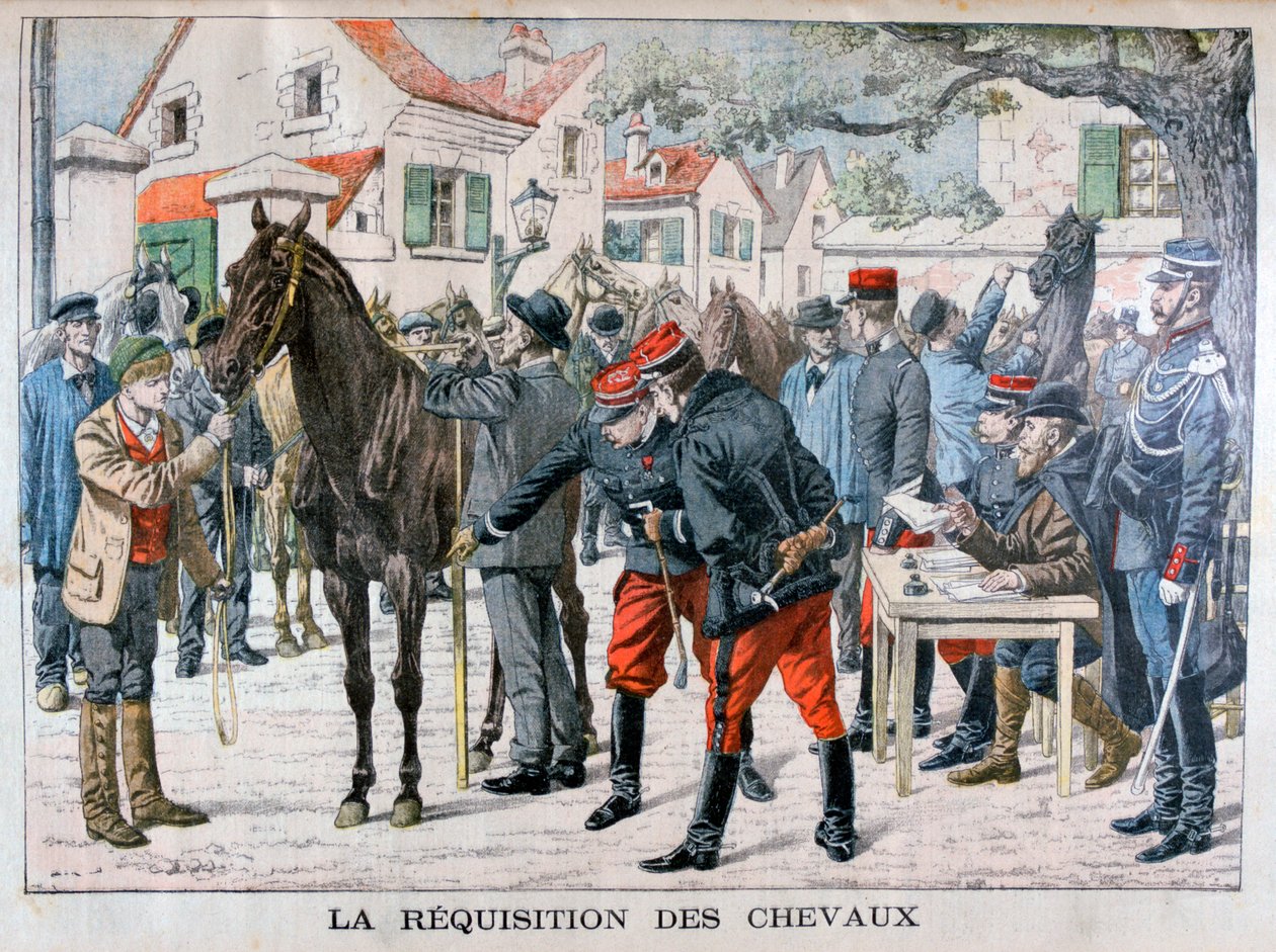 Kupowanie koni przez armię francuską, 1904 autorstwa Unbekannt