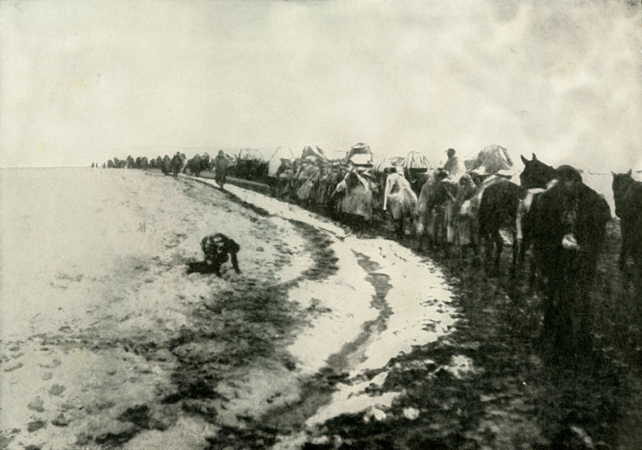 Wielkie rekolekcje serbskie, 1919. autorstwa Unbekannt