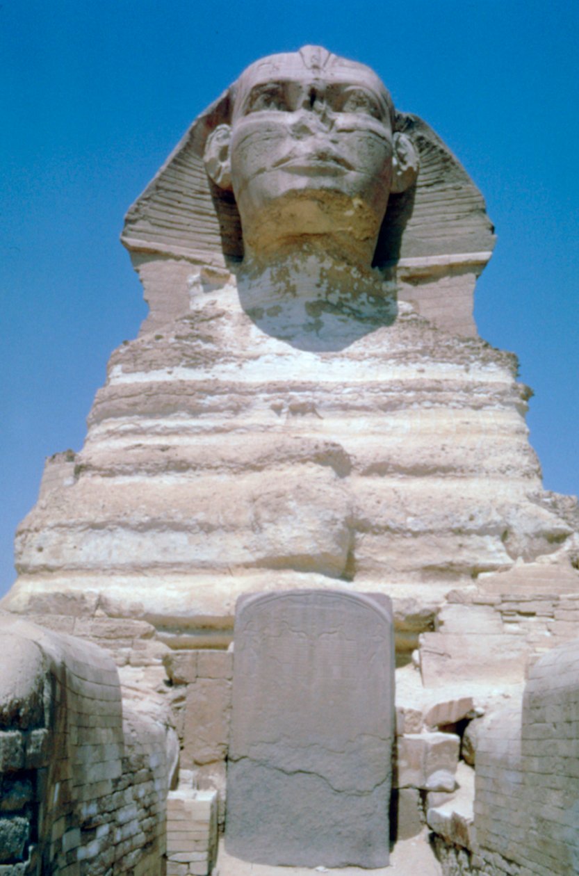 Wielki Sfinks z Gizy, płaskowyż Giza, Egipt autorstwa Unbekannt