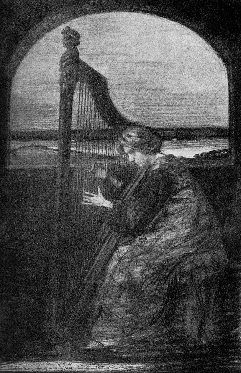 Harfiarz, 1900 autorstwa Unbekannt