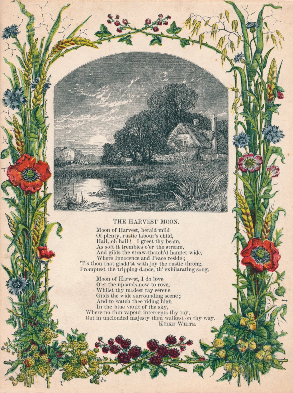 „Księżyc żniw”, Kirke White, c1900 autorstwa Unbekannt