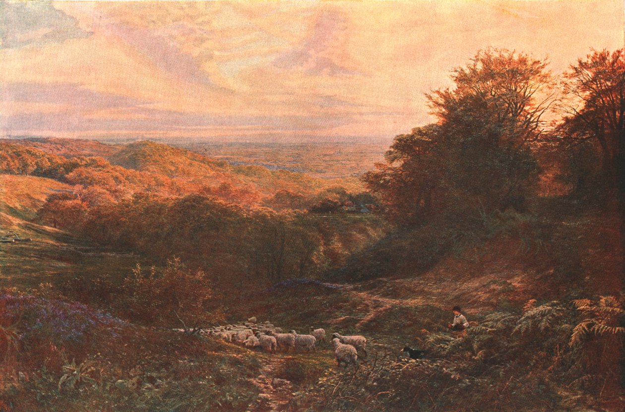 Serce Surrey, 1874, c1902. autorstwa Unbekannt