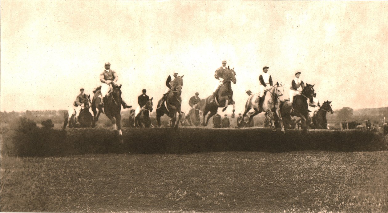 Puchar polowań, Punchestown, 1911. autorstwa Unbekannt