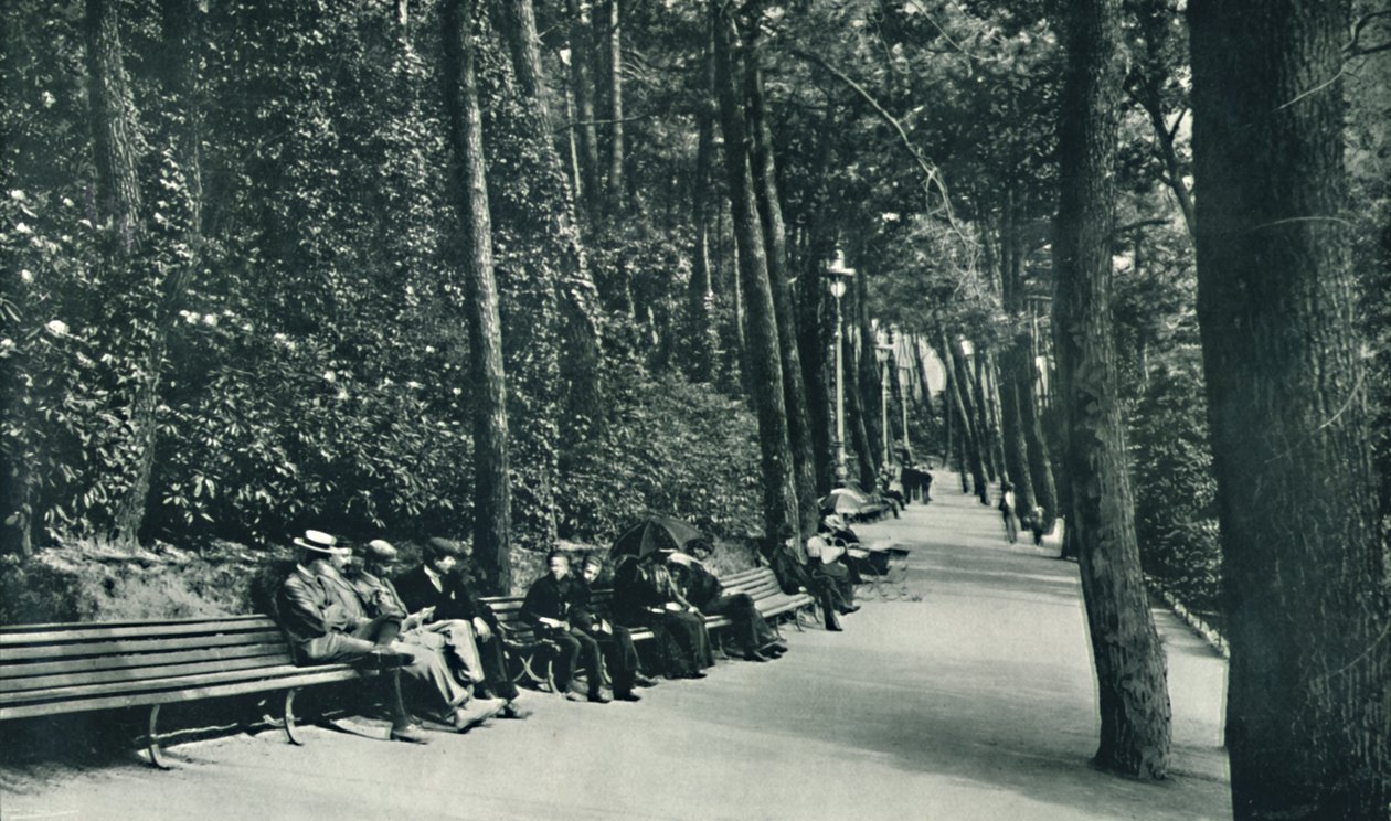 Spacer Inwalidów, c1910 autorstwa Unbekannt