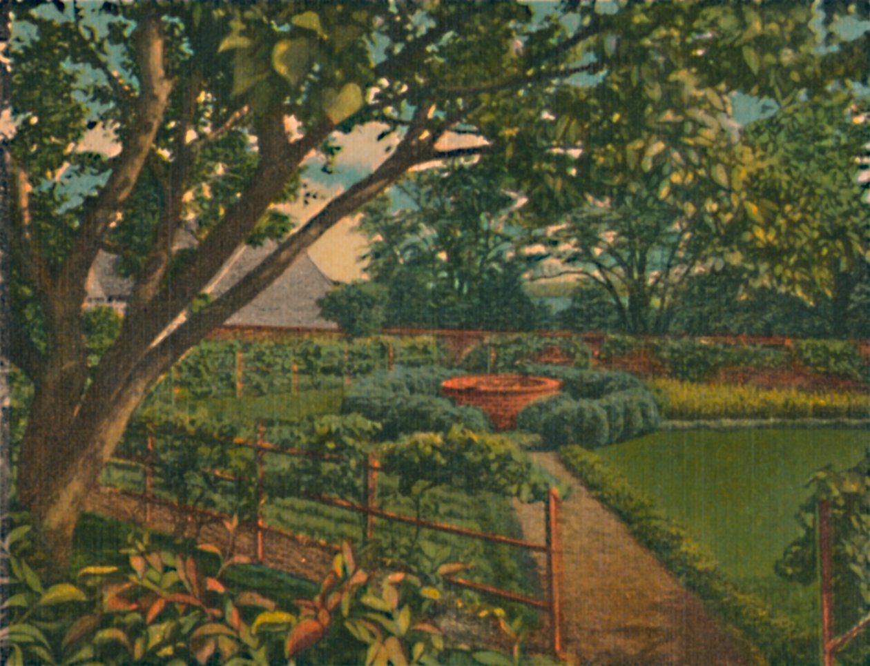 Ogród Kuchenny, 1946 autorstwa Unbekannt