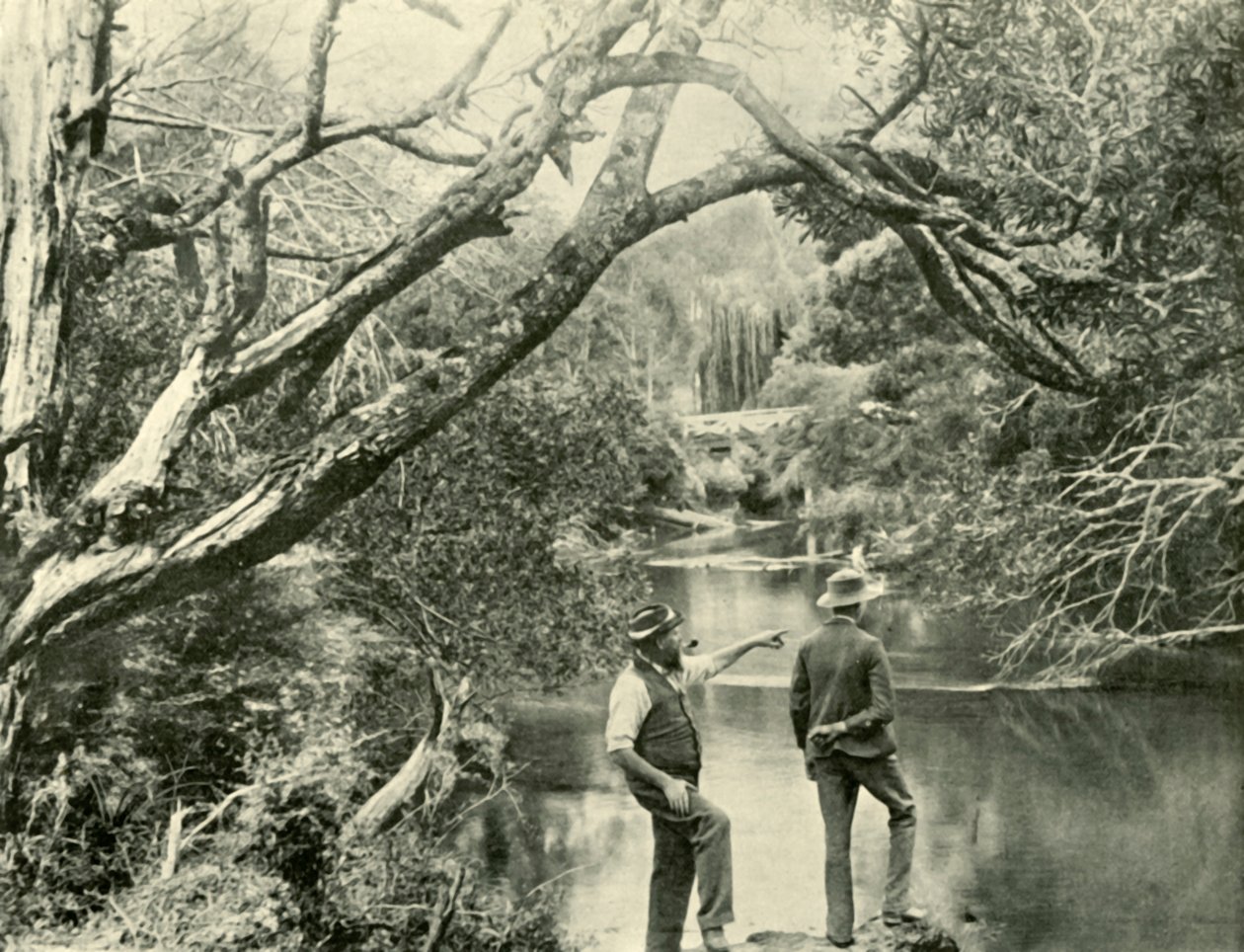 Miejsce startu, Upper Yarra, Victoria, 1901. autorstwa Unbekannt