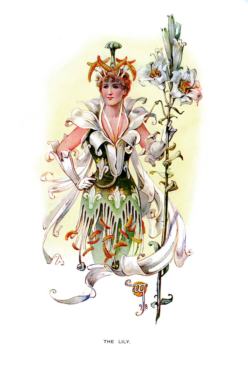 Lilia, 1899 autorstwa Unbekannt