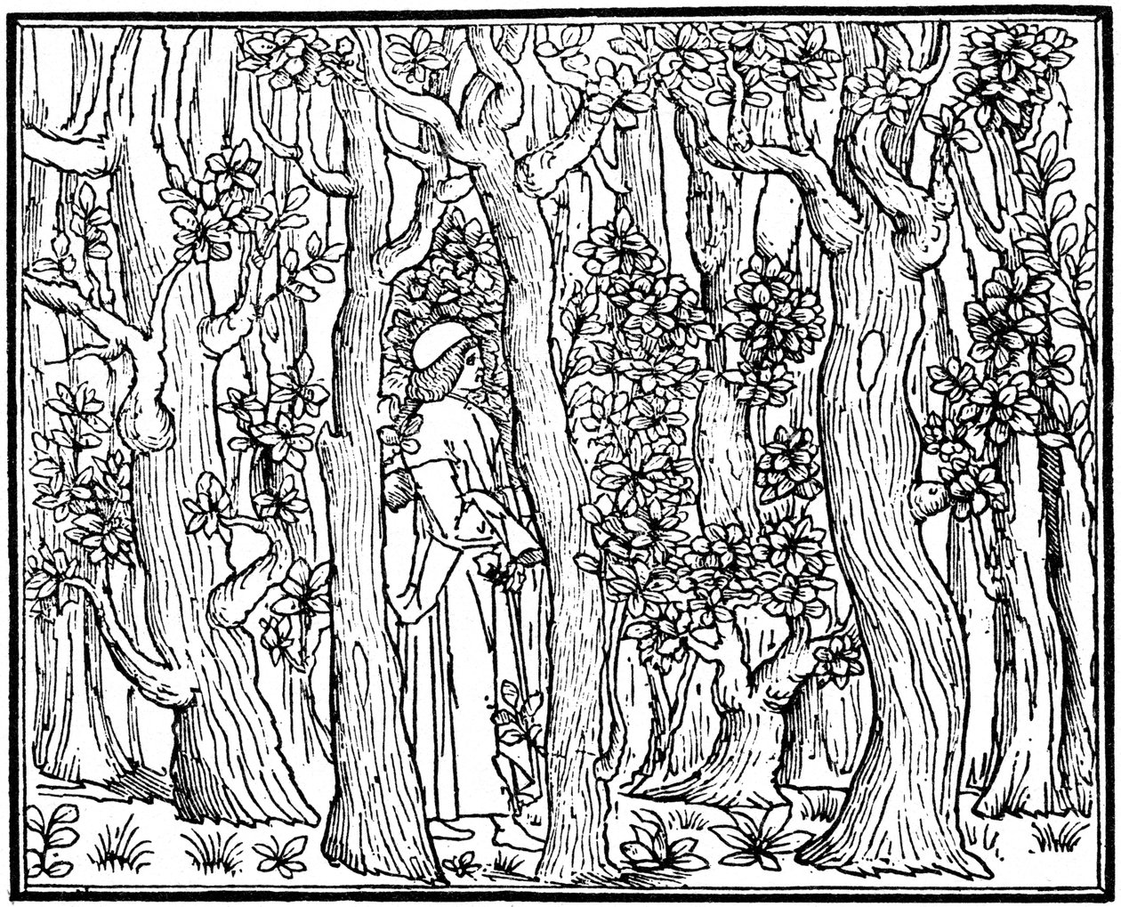 Kochanek w lesie, 1499 1964 autorstwa Unbekannt