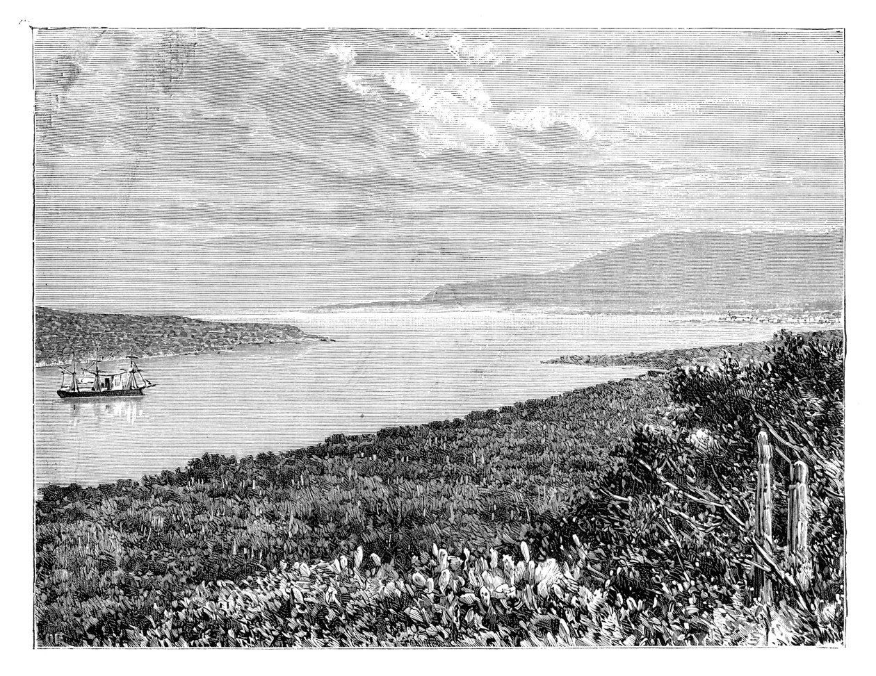 Półwysep Môle St Nicolas, Haiti, ok. 1890 r autorstwa Unbekannt