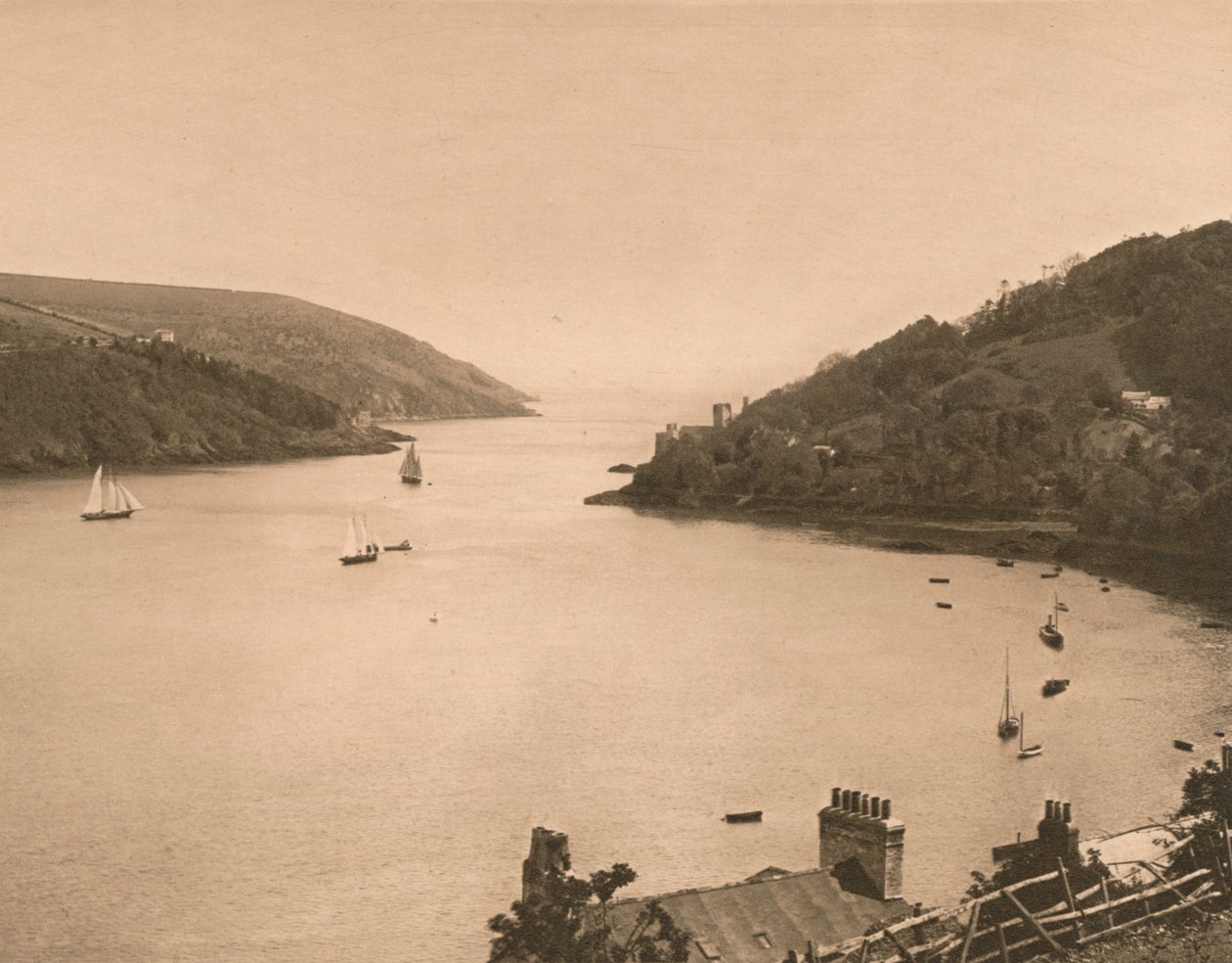 Paszcza strzałki, 1902 autorstwa Unbekannt