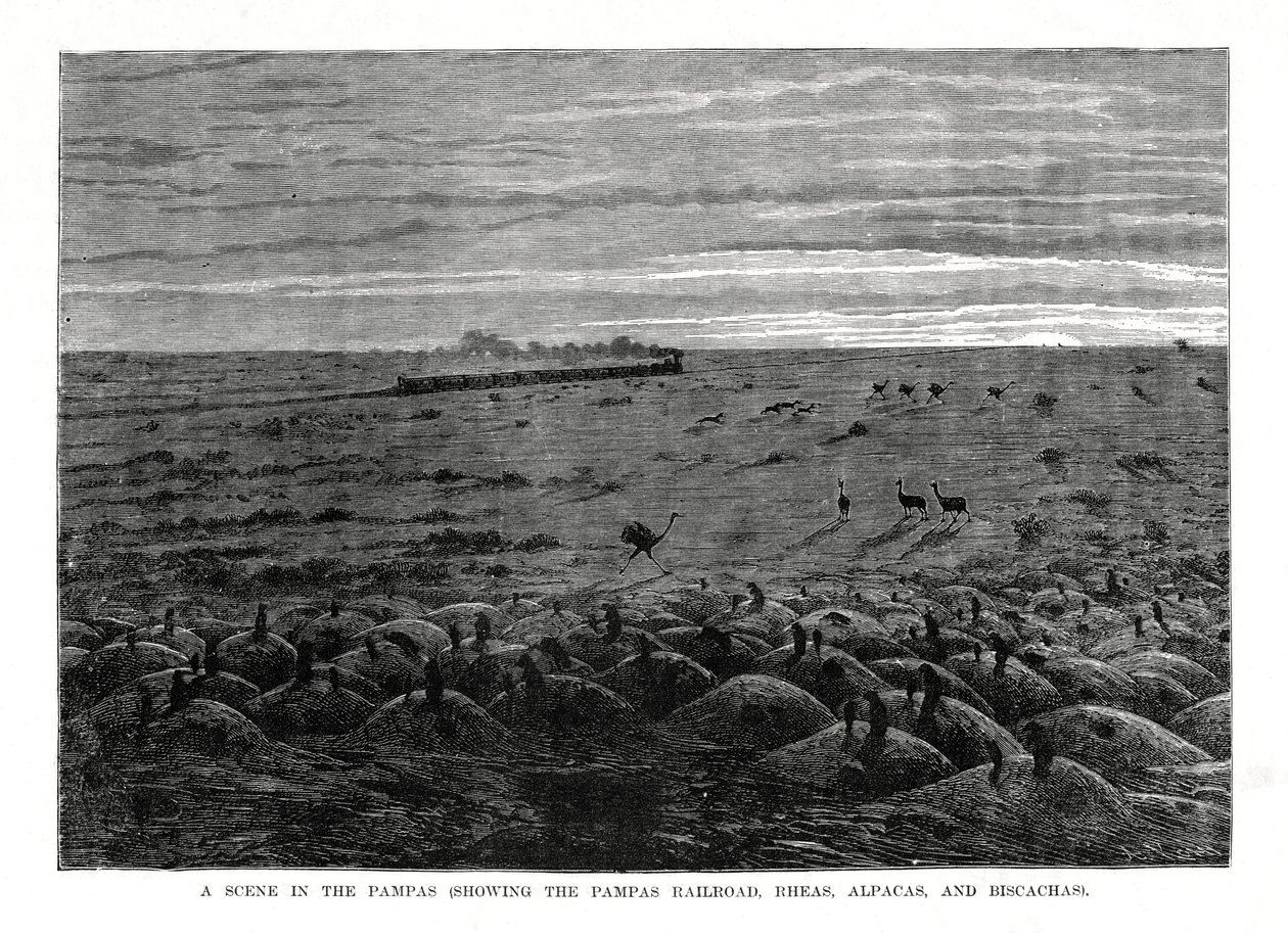 Kolej Pampas, niziny Ameryki Południowej, 1877 autorstwa Unbekannt