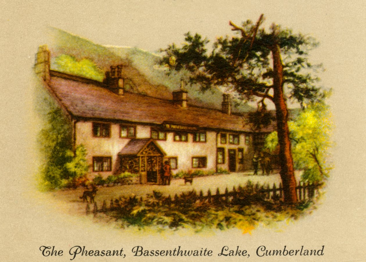 Bażant, jezioro Bassenthwaite, Cumberland, 1936. autorstwa Unbekannt