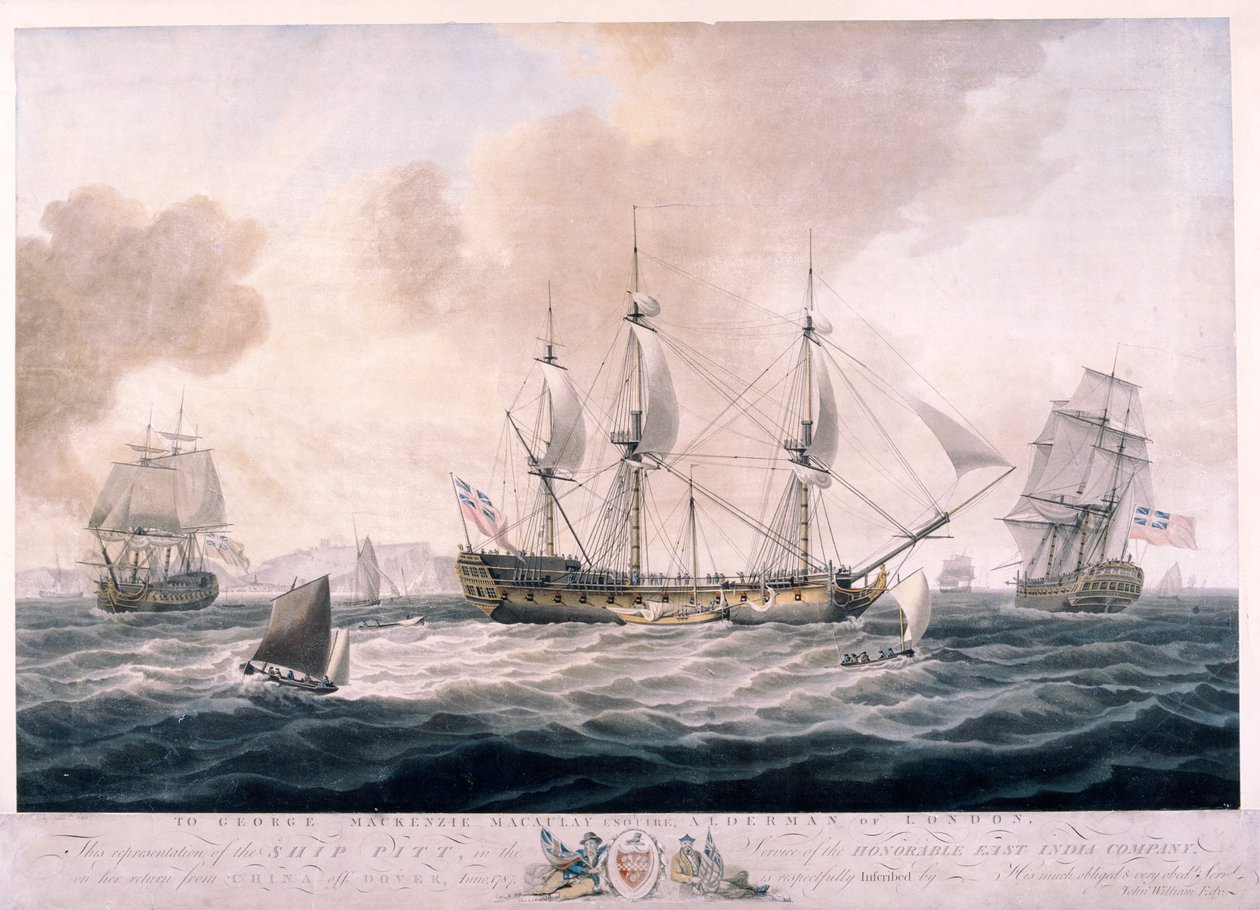 Pitt, 1787 autorstwa Unbekannt
