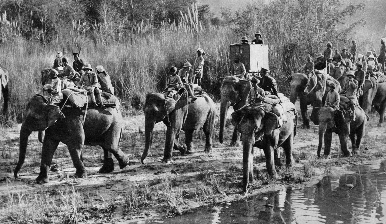 Książę Walii strzela do tygrysów w Indiach, 1921 autorstwa Unbekannt