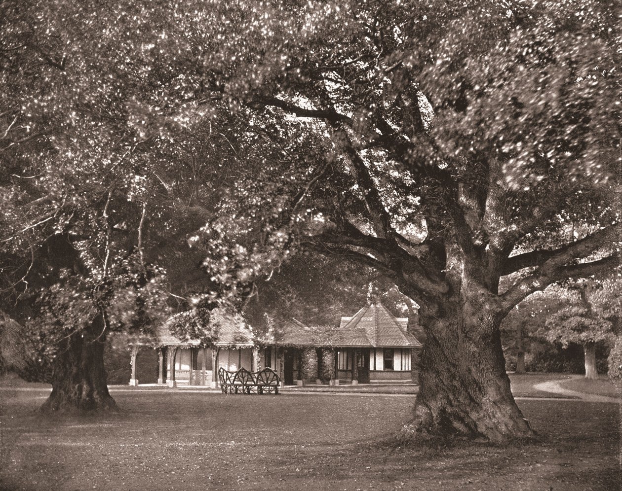 Herbaciarnia Queens, Frogmore, Berkshire, 1894. autorstwa Unbekannt