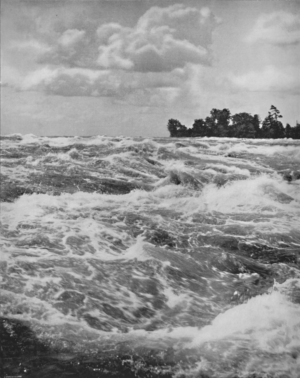 Rapids nad amerykańską jesienią, XIX w. autorstwa Unbekannt