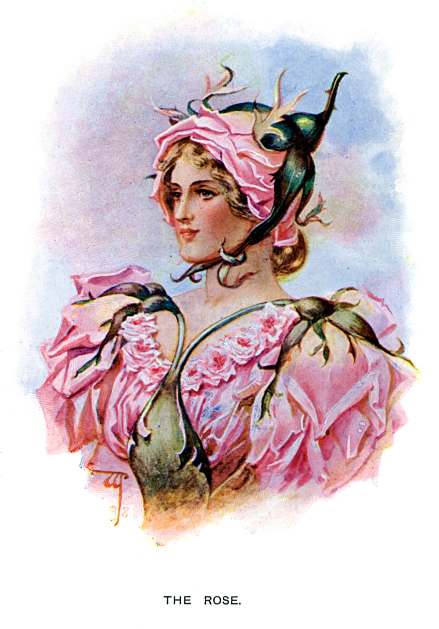 Róża, 1899 autorstwa Unbekannt
