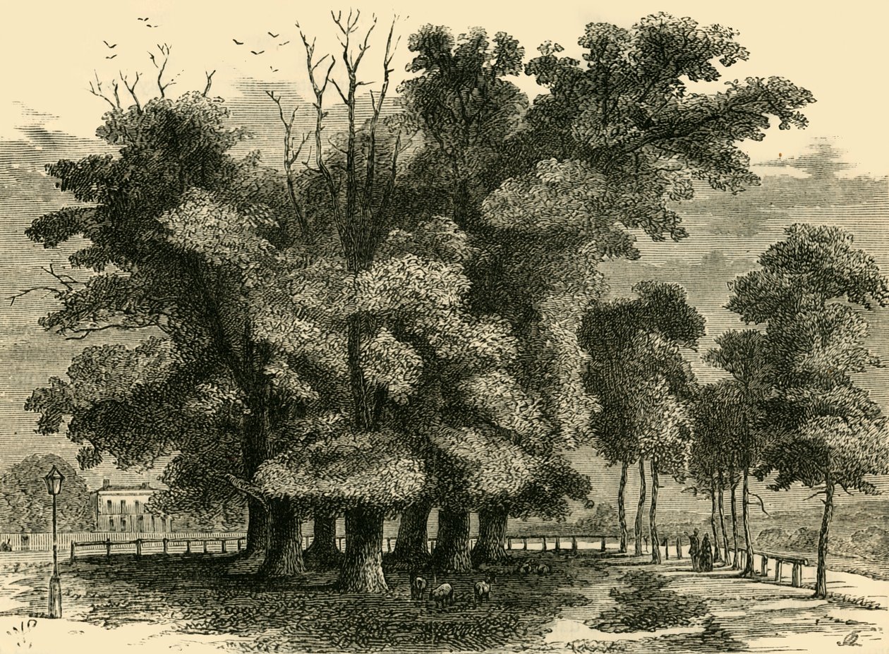 Siedem sióstr, 1830, ok. 1876. autorstwa Unbekannt