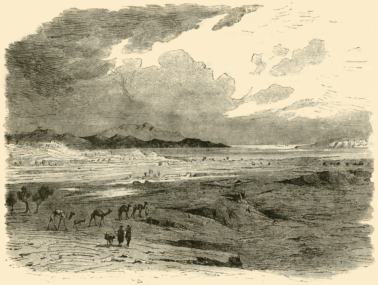 Miejsce Troi, 1890. autorstwa Unbekannt