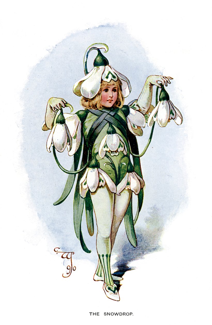 Przebiśnieg, 1899 autorstwa Unbekannt