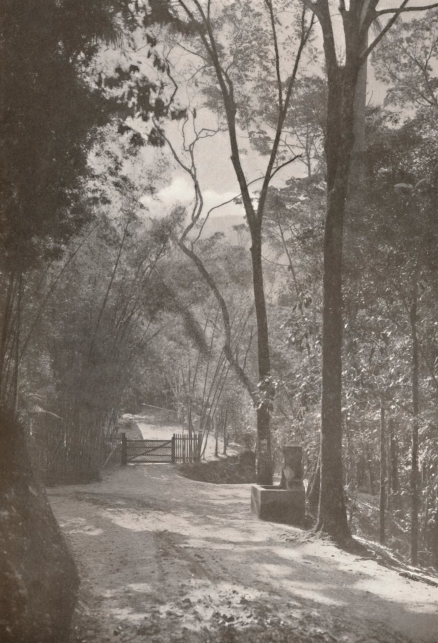 Duch Tijuki, 1914 autorstwa Unbekannt