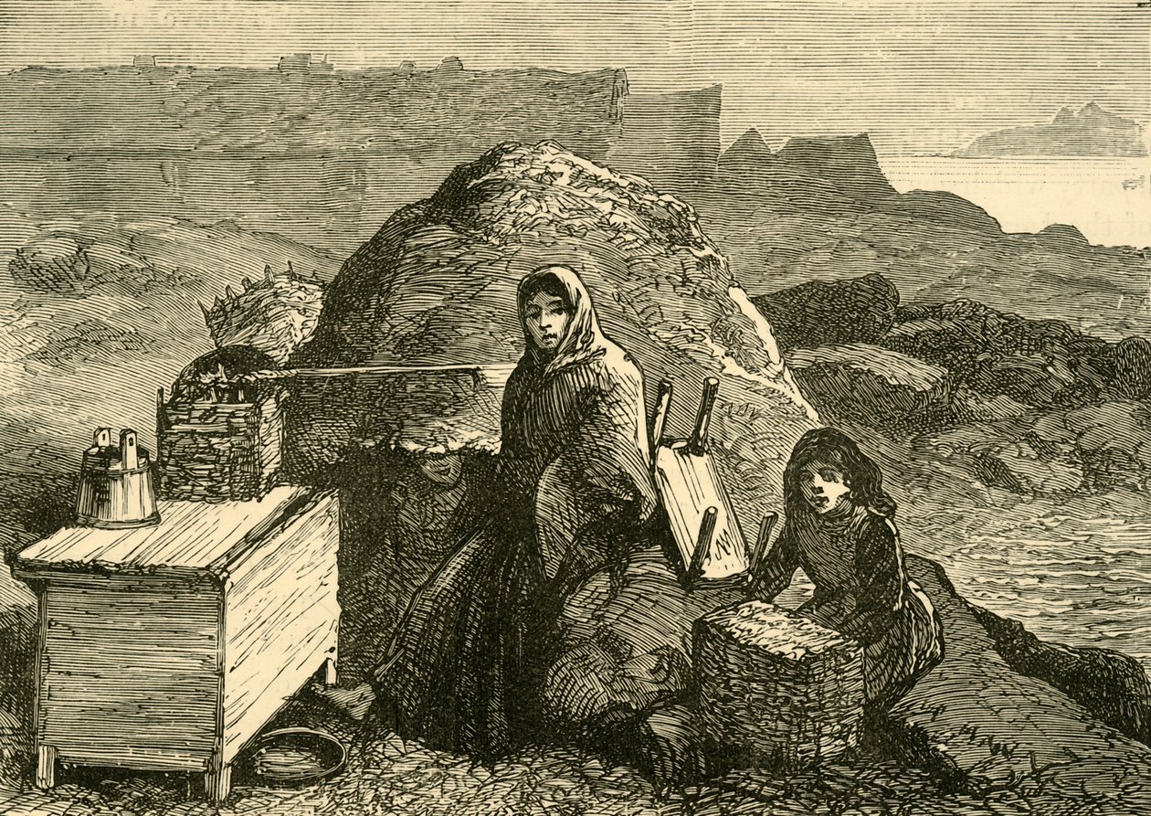 Stan Irlandii: eksmitowana rodzina w pobliżu Errismore, ok. 1880 r. autorstwa Unbekannt