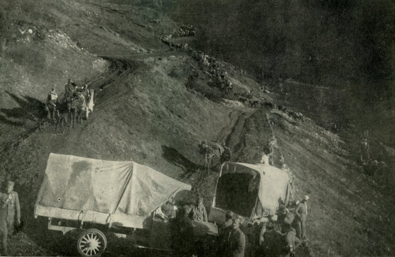Straszne odosobnienie z Serbii, 1919. autorstwa Unbekannt