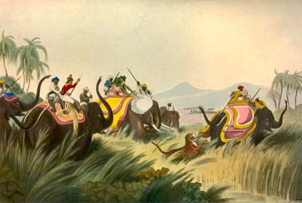 Polowanie na Tygrysa, ok. 1808, 1901. autorstwa Unbekannt