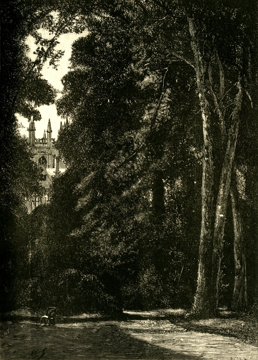 Wieża Merton, z ogrodu, 1898. autorstwa Unbekannt