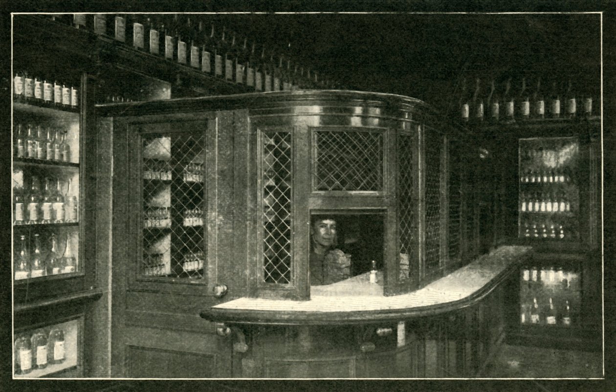 Carski Dom Publiczny nie jest wcale atrakcyjnym salonem, 1901. autorstwa Unbekannt