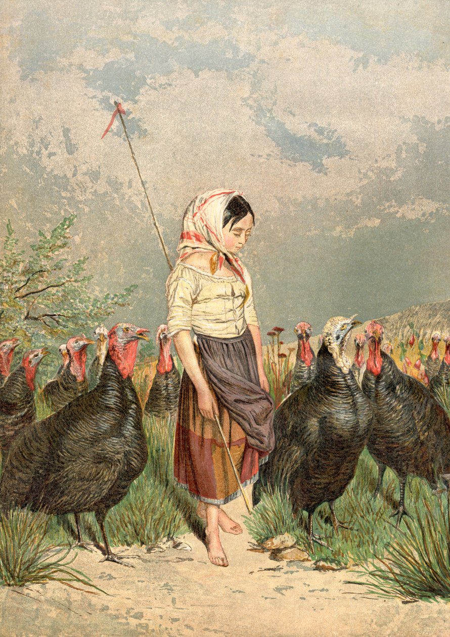 Opiekun Turcji, 1858 autorstwa Unbekannt