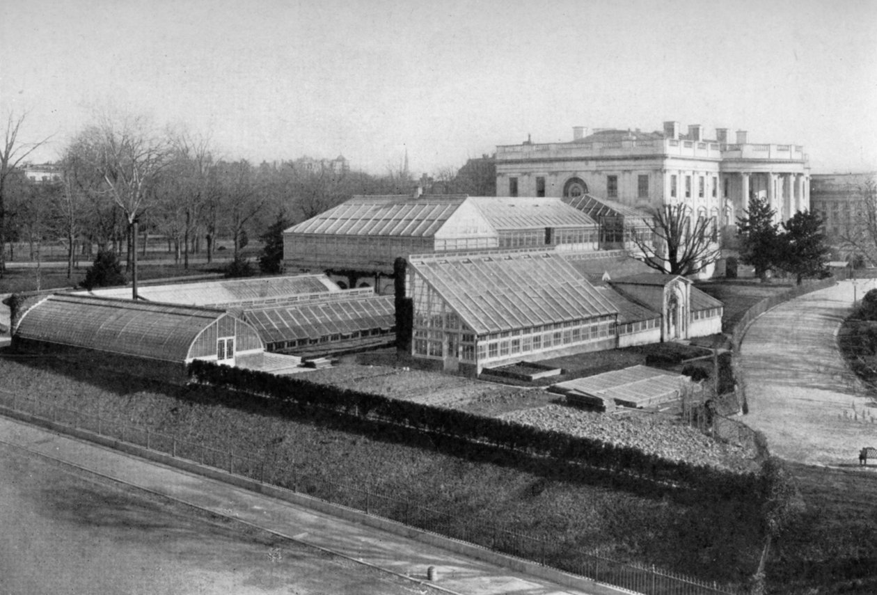 Biały Dom i szklarnie, Waszyngton DC, USA, 1908 autorstwa Unbekannt