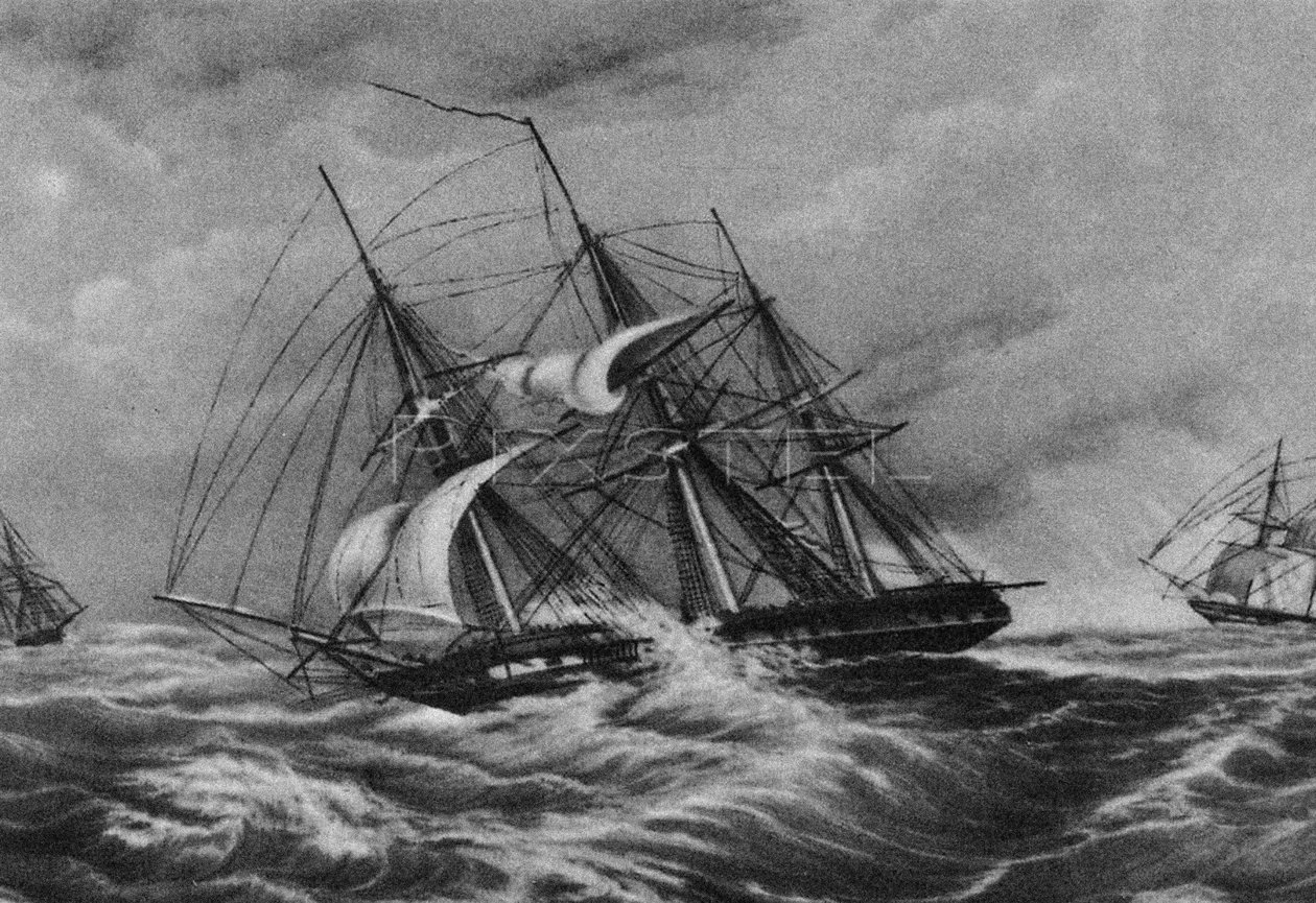 Fregata Kreiser i slup Ładoga u wybrzeży Ameryki, 1900-1910 autorstwa Unbekannt