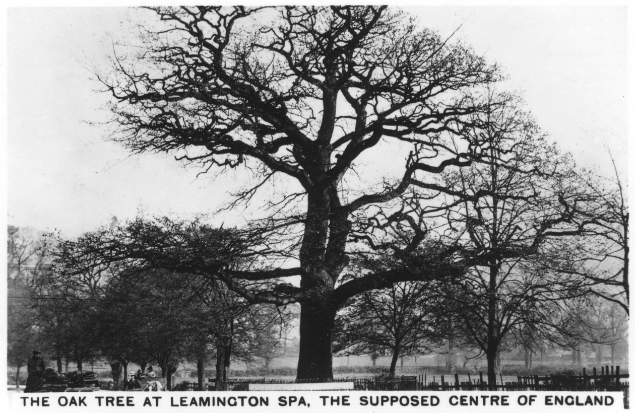 Dąb w Leamington Spa, rzekomym centrum Anglii, 1936 autorstwa Unbekannt