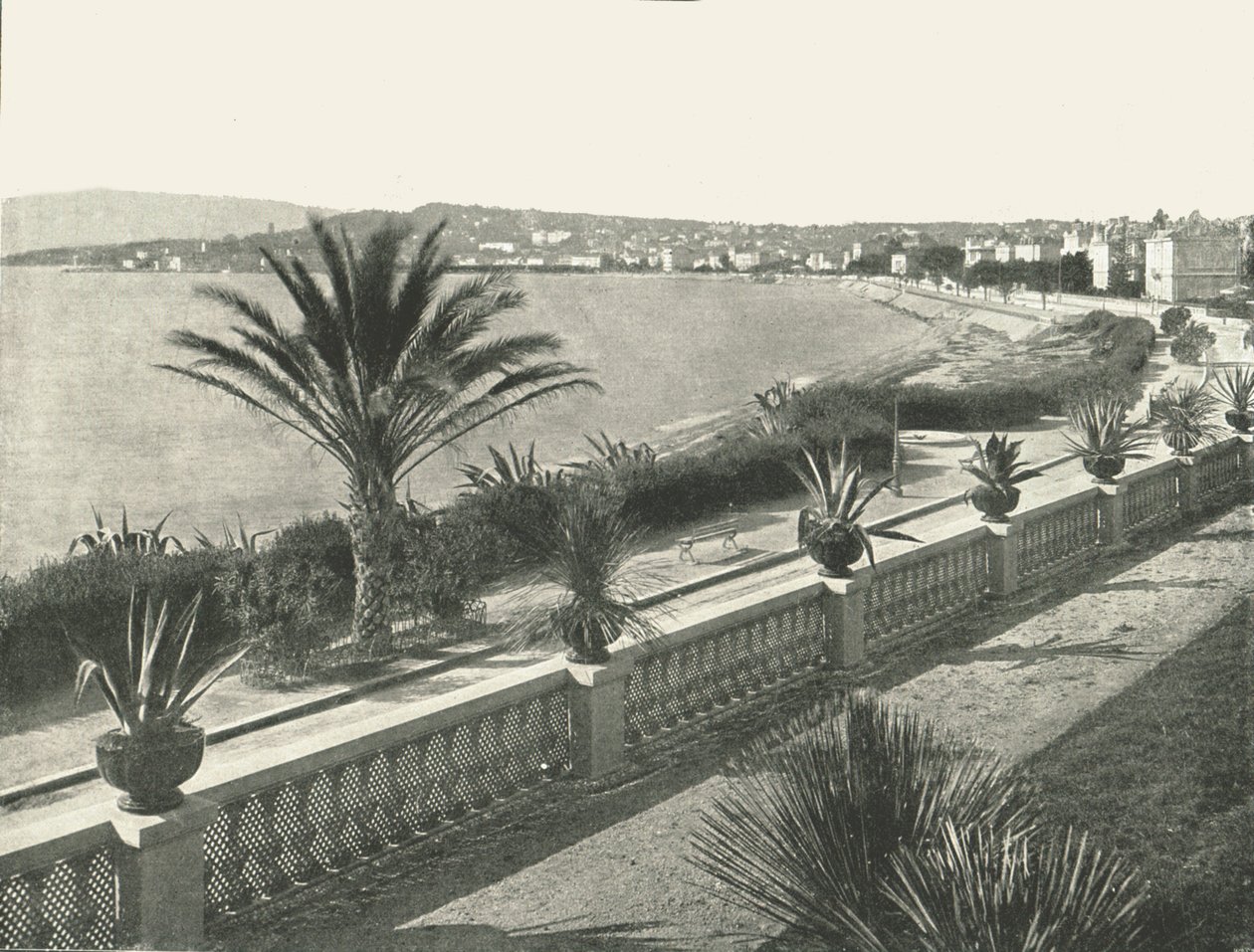 Panorama La Croisette, Cannes, Francja, 1895. autorstwa Unbekannt