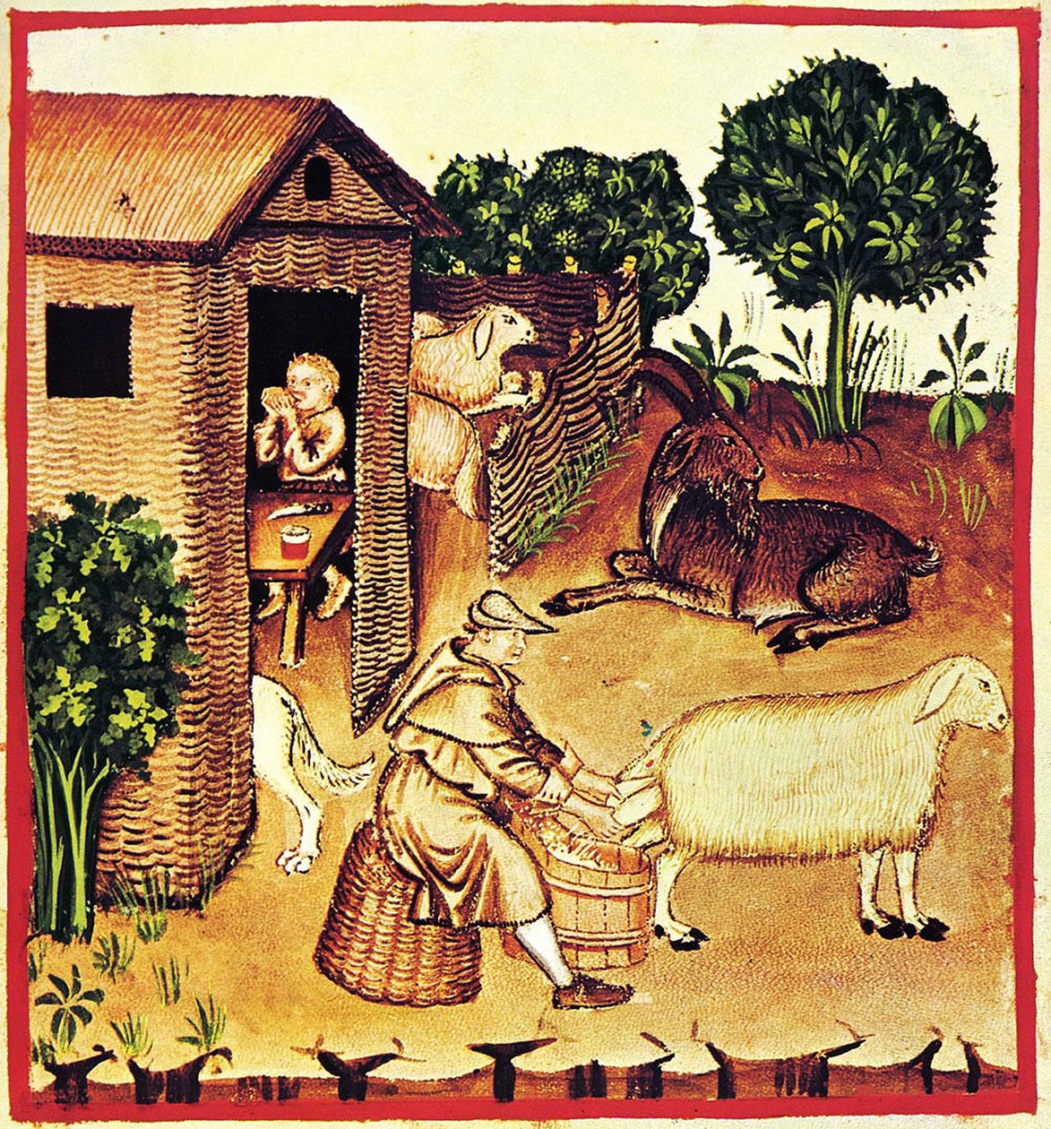 Produkcja sera. Miniatura z Tacuinum Sanitatis, II poł. autorstwa Unbekannt