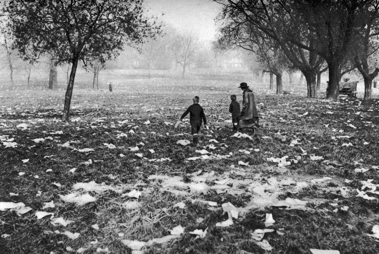 Śmieci pozostawione na Hampstead Heath po święcie bankowym, Londyn, 1926-1927 autorstwa Unbekannt