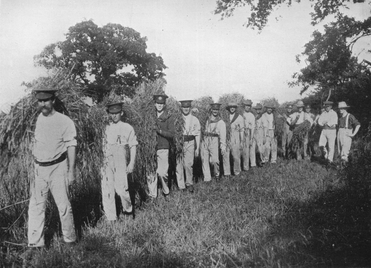 Brak siły roboczej w gospodarstwie: Żołnierze asystujący przy żniwach, 1915 autorstwa Unbekannt